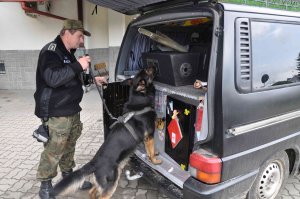 Przeszukanie pojazdu ob. Francji przy użyciu psa służbowego 