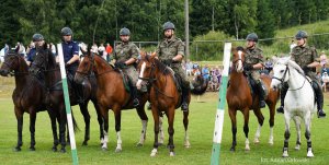 Konie służbowe Straży Granicznej na paradziej w Lutowiskach 