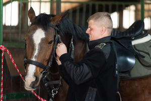 Konie w Bieszczadzkim Oddziale Straży Granicznej 