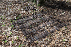 patrol Straży Granicznej oraz saperzy zabezpieczają odnalezione niewybuchy patrol Straży Granicznej oraz saperzy zabezpieczają odnalezione niewybuchy