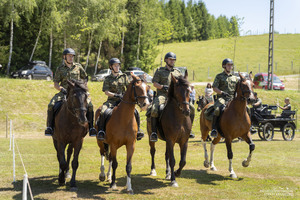 21 Powojenne Targi Końskie