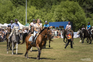 21 Powojenne Targi Końskie