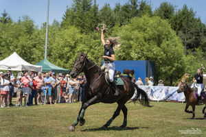 21 Powojenne Targi Końskie