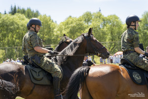 21 Powojenne Targi Końskie