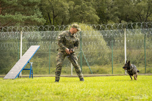 szkolenie psów służbowych szkolenie psów służbowych