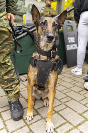Młodzieżowe Dni Bezpieczeństwa Młodzieżowe Dni Bezpieczeństwa