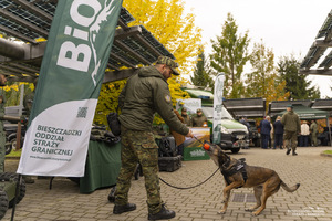 Młodzieżowe Dni Bezpieczeństwa Młodzieżowe Dni Bezpieczeństwa