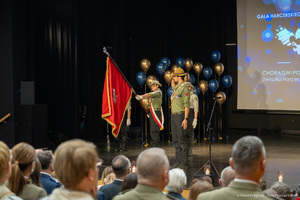 Gala Harcerskiego Wolontariatu „Orły”