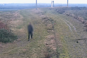 Wykryta osoba przebywająca na pasie drogi granicznej