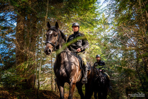 Nowe wierzchowce w Bieszczadzkim Oddziale SG