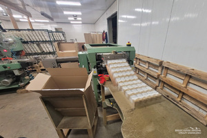 Zlikwidowano fabrykę nielegalnych papierosów