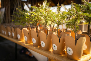 Dzień Ziemi - zasadzenie Zakątka Leśnego na 35. lat BiOSG Dzień Ziemi - zasadzenie Zakątka Leśnego na 35. lat BiOSG