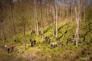 Dzień Ziemi - zasadzenie Zakątka Leśnego na 35. lat BiOSG Dzień Ziemi - zasadzenie Zakątka Leśnego na 35. lat BiOSG
